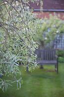 Hedingham Old Pottery