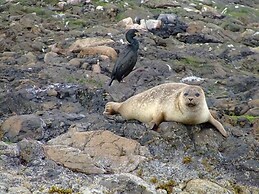 St. Annes Guest House