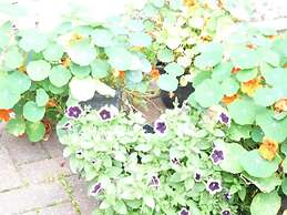 Glengorm Guest House