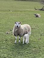 Thornsgill House B&B