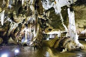 Bed & Breakfast L'aquilino