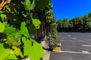 Country Roads Motor Inn Naracoorte