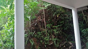 Jungle house