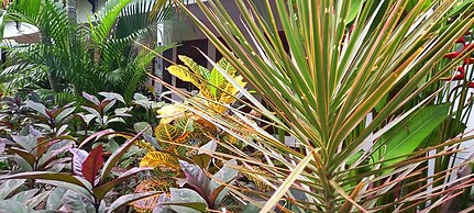 Gili Welldone Guesthouse