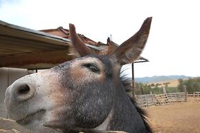 Agriturismo Il Giogo