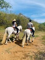 Casa Ave del Risco (Villa con río y cascada al interior)
