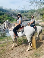 Casa Ave del Risco (Villa con río y cascada al interior)