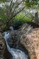 Casa Ave del Risco (Villa con río y cascada al interior)