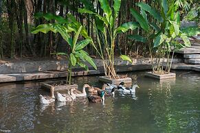 Casa Ave del Risco (Villa con río y cascada al interior)