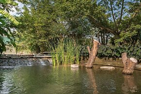 Casa Ave del Risco (Villa con río y cascada al interior)