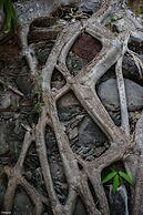 Casa Ave del Risco (Villa con río y cascada al interior)