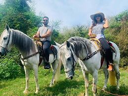 Casa Ave del Risco (Villa con río y cascada al interior)