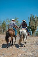 Casa Ave del Risco (Villa con río y cascada al interior)