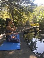 Casa Ave del Risco (Villa con río y cascada al interior)