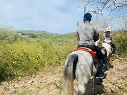 Casa Ave del Risco (Villa con río y cascada al interior)