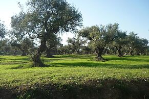 Myrties stone houses
