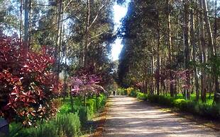 Il Nibbio Reale Country House