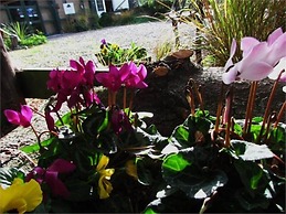 Christchurch City & Country Cottages - Nut Point Cottage