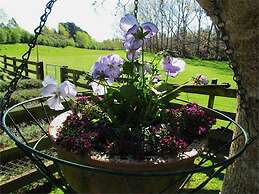 Christchurch City & Country Cottages - Nut Point Cottage