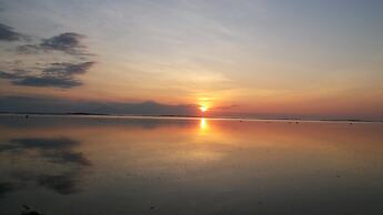 White Coconut Cottage