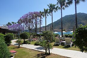 Palmetto Resort Hotel