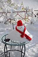 The Chalets Naldehra