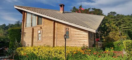 The Chalets Naldehra