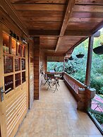 The Chalets Naldehra