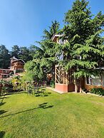 The Chalets Naldehra