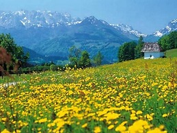 Gästehaus Flora