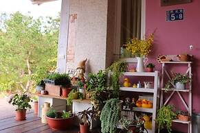 Bear Meets Moose B&B