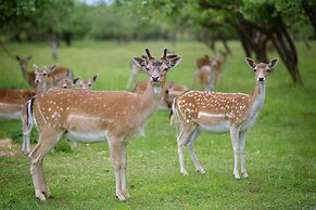 Bistrampolis Manor Boutique Hotel