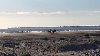Brevocean