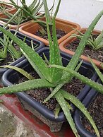 Bandhusena House and Apartments