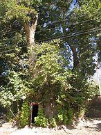 HOTEL KITOB SAYYOH - campsite