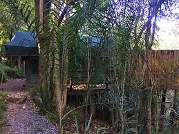 Phophonyane Falls Ecolodge