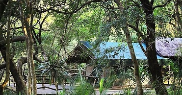 Phophonyane Falls Ecolodge