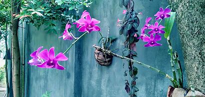 Unawatuna Nor Lanka Hotel