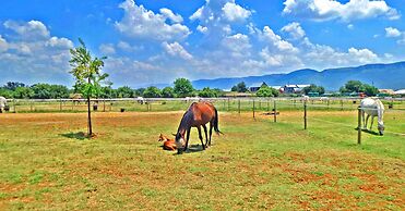 Jeanette's Villa at Westlake