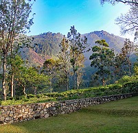 The Planters House