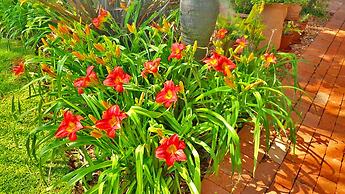 Key West Condo Apartment