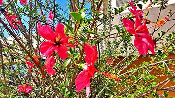 Key West Condo Apartment