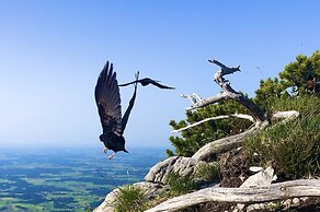 Alpenliebe Design Hotel