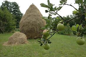 Ferienhof zum Spreewäldchen