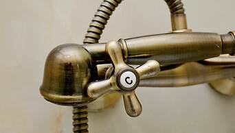 Apartments & Rooms Flowers