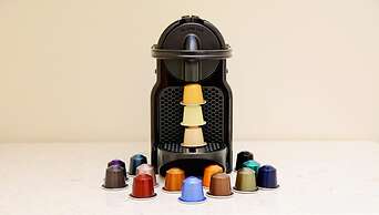 Apartments & Rooms Flowers