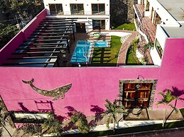Casa de la Ballena