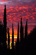 Le Chant des Oliviers Marrakesh