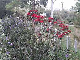 KhaoKho Rabiangphu Resort