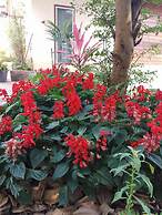 KhaoKho Rabiangphu Resort